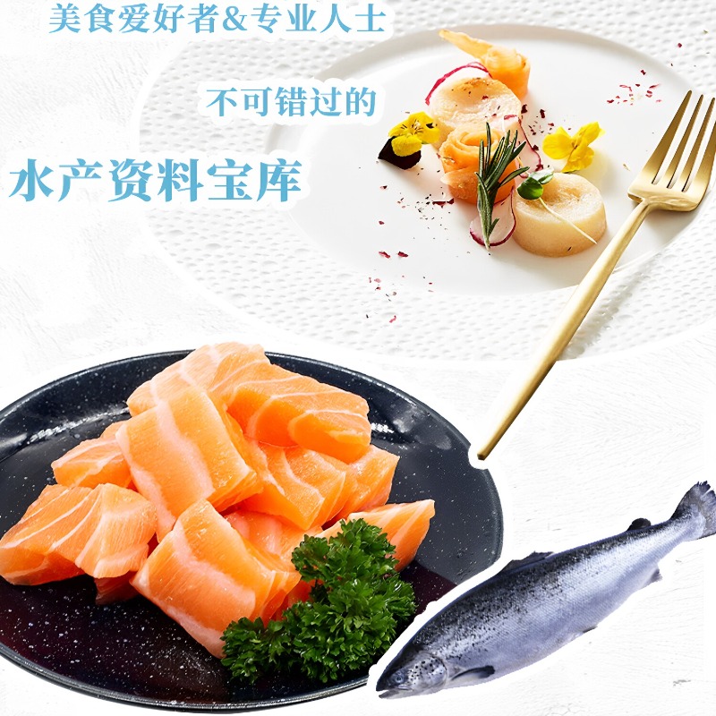 シーフード料理レシピ集 DK 300 伝統的なレシピ集 世界 - Home Cooking Cookbook のレビューと価格